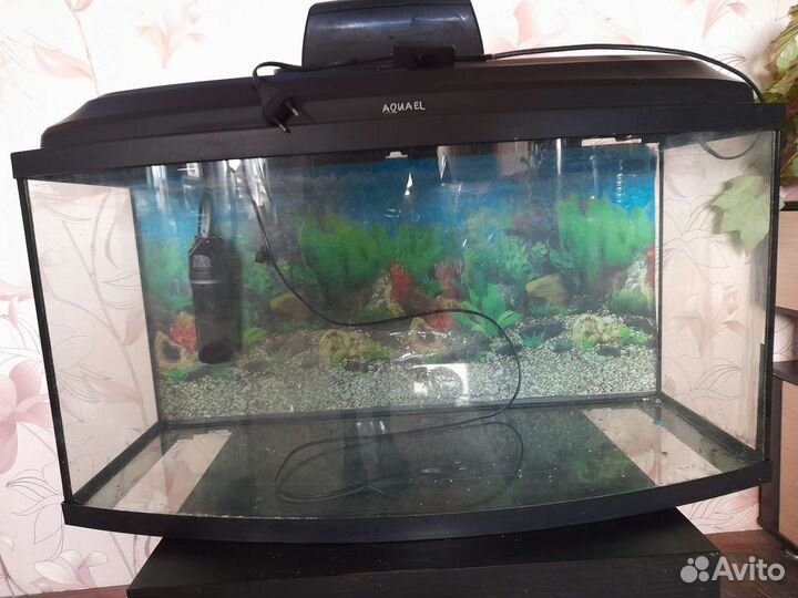 Аквариум