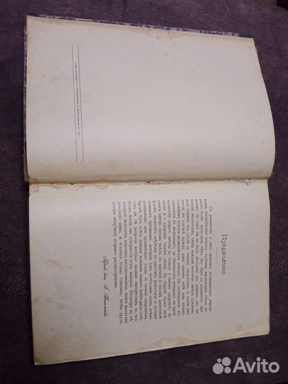 Редкая книга Молодая мать С.Исаев 1914