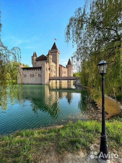 Березовые веники