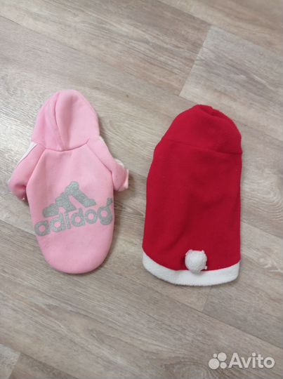 Костюм для собаки