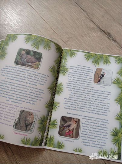 Учебное пособие 4 класс