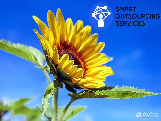 Комплектовщик/Кладовщик/Сборщик Еженедельно аванс