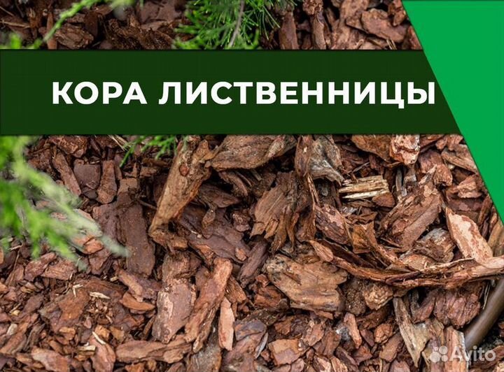 Кора лиственницы 60 л