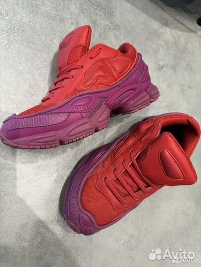 Adidas raf simons ozweego 2 glory