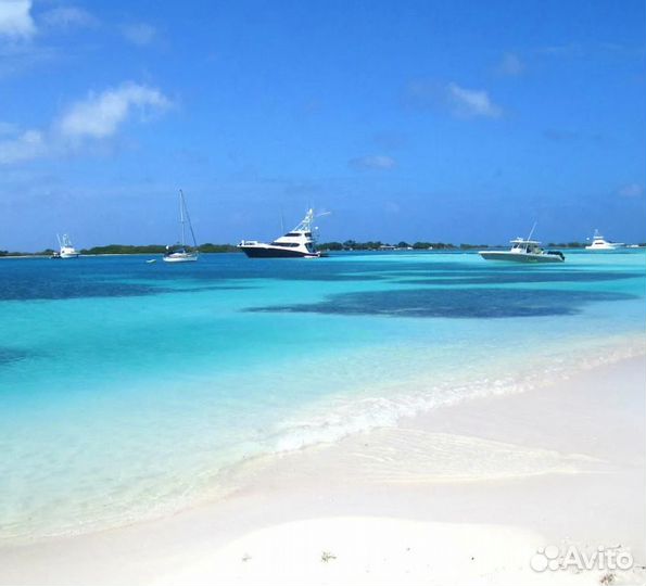 Voyage в Venezuely 12 дней