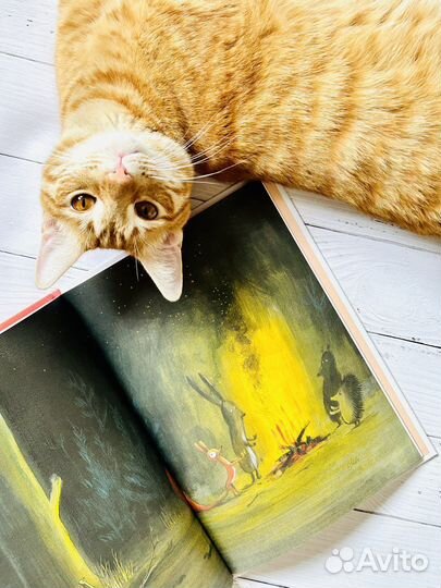 Книги детские Оливье Таллек