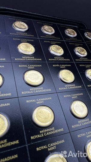 Кленовый лист