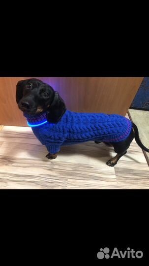 Вещи на таксу мальчика