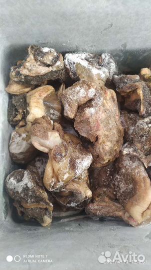 Рубец говяжий, требуха (корм для собак)