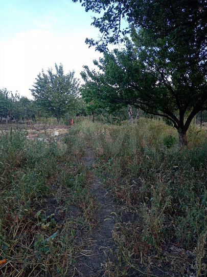 Участок 6 сот. (ИЖС)