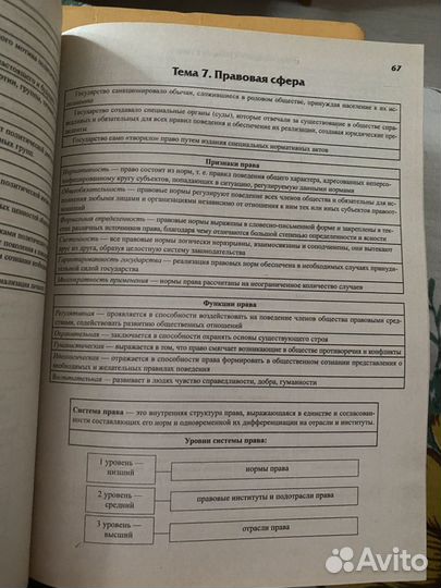 Домашек Е. В. Обществознание. В схемах