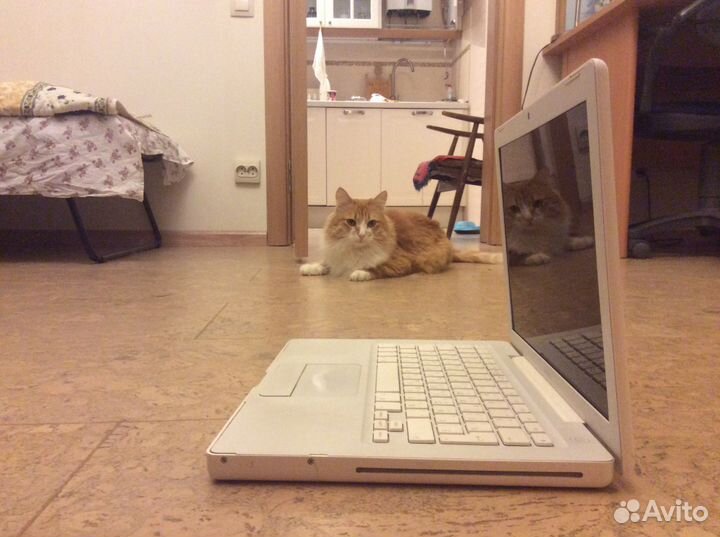Apple MacBook