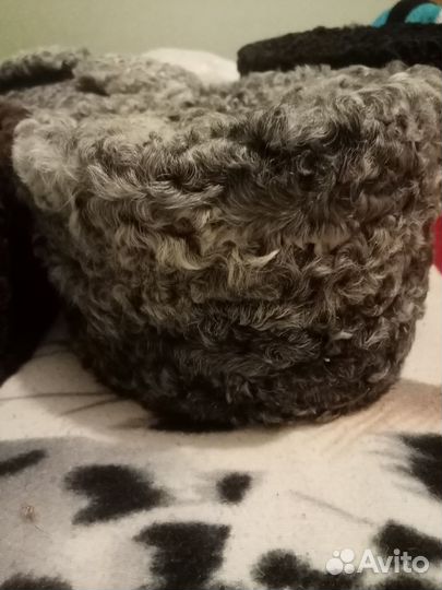 Мужская шапка натуральный каракуль