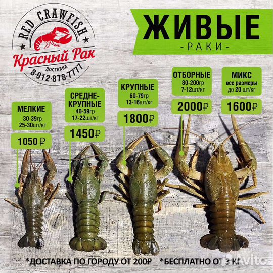 Живые раки. Доставка. Самовывоз