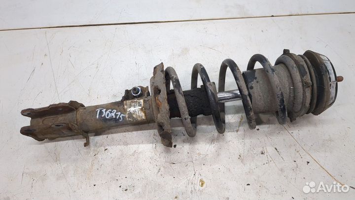 Амортизатор подвески Opel Combo, 2008