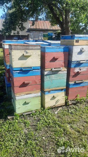 Продам ульи