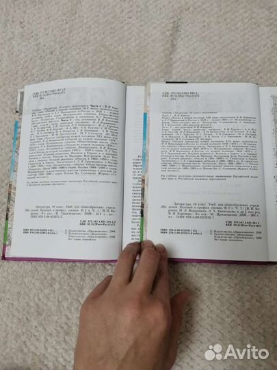 Учебник по литературе 10 класс Коровин