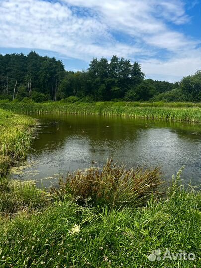 Место для рыбалки и отдыха на природе