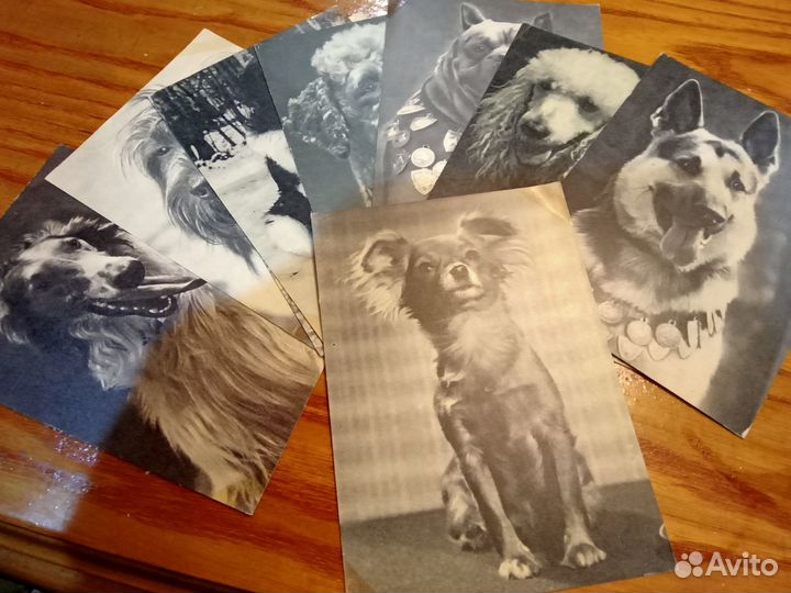 Набор открыток