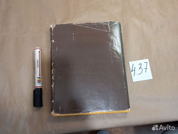 Ф. А. Бруни Верещагина Алла Глебовна