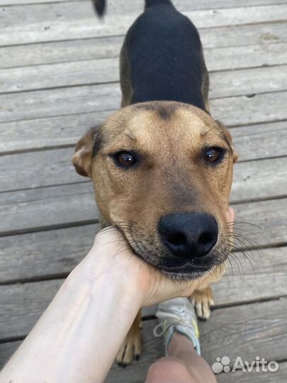 Кай и Герда