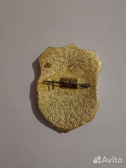 Значок Дружинник