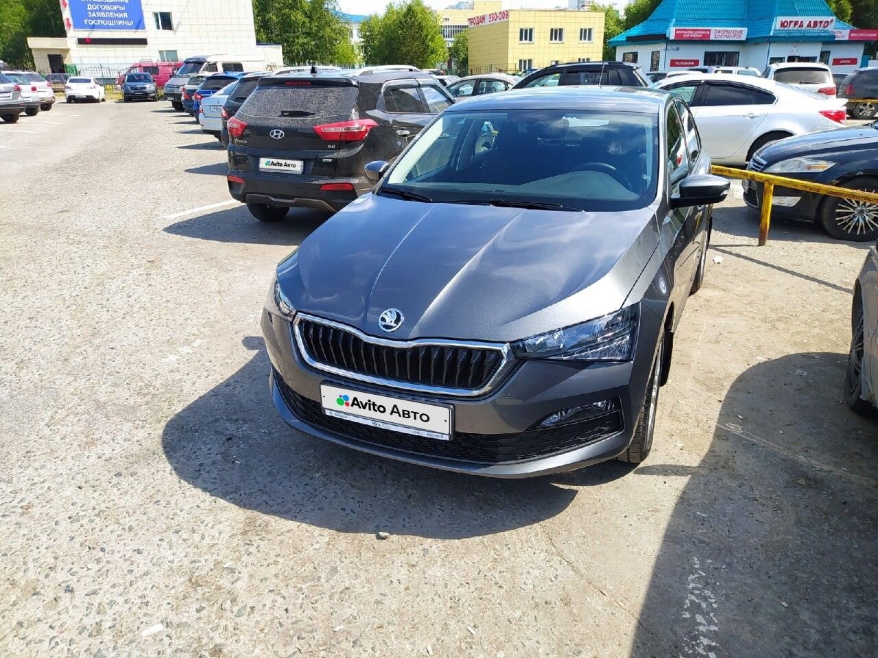 Skoda Rapid: фото владельца