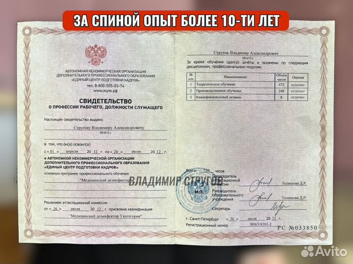 Уничтожение тараканов, клопов, плесени/Дезинфекция