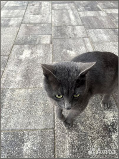 Прочная Тротуарная Плитка от 120 м2