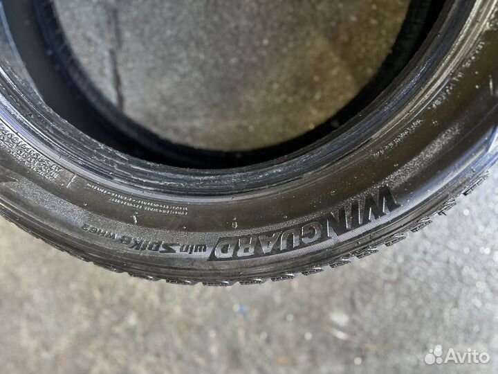 Nexen Winguard Spike WS62 205/55 R16