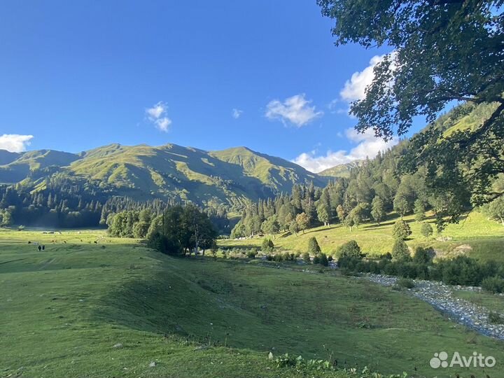 Индивидуальные экскурсии Абхазия