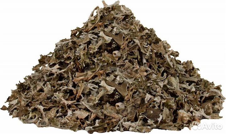 Исландский мох