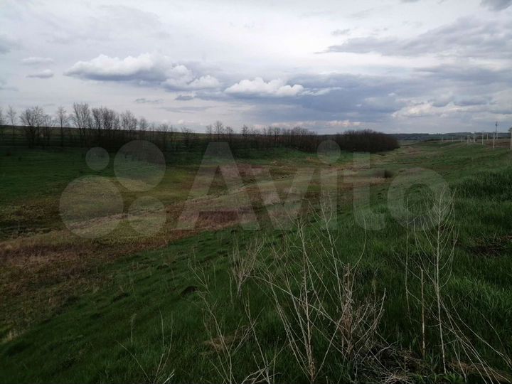 Участок 4,7 га (СНТ, ДНП)