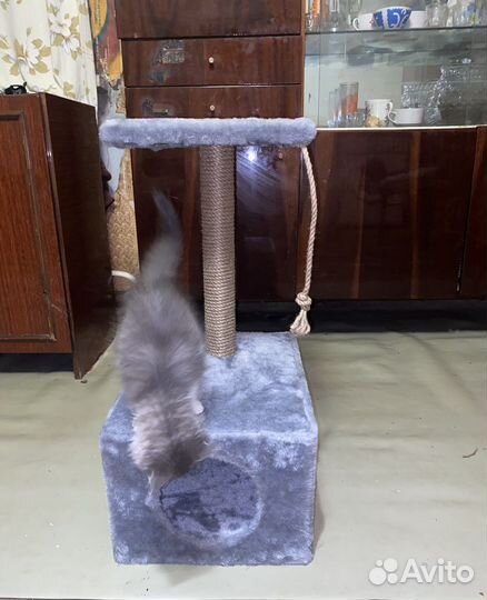 Когтеточка с домиком и лежанкой для кошек