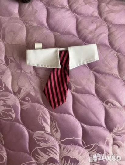 Продам одежду для собачки/кота