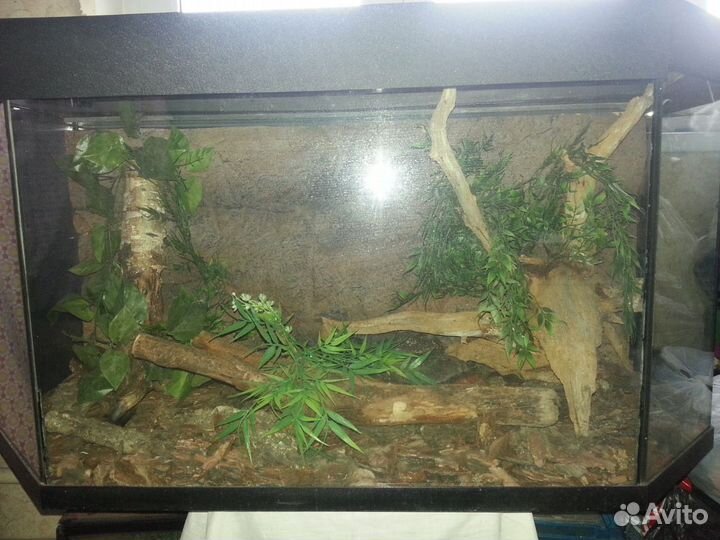 Акватеррариум с объемным задним фоном 235 литров