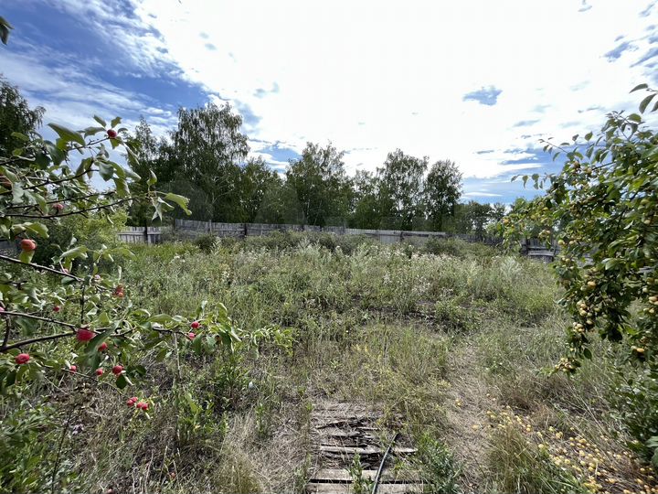 Дом 50 м² на участке 26 сот.