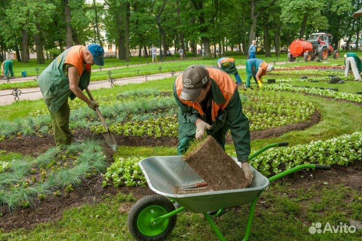 Разнорабочий на озеленение с ежедневной оплатой