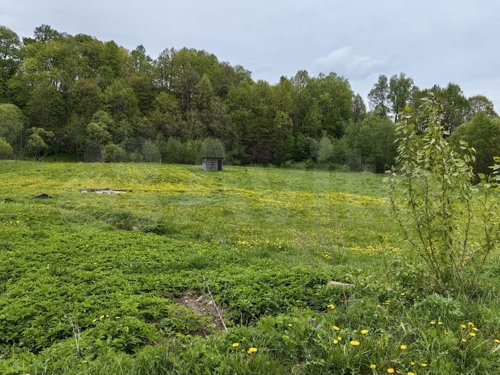 Участок 20 сот. (ИЖС)