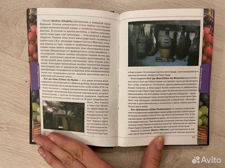 Вино. Страны и регионы производства. Книга