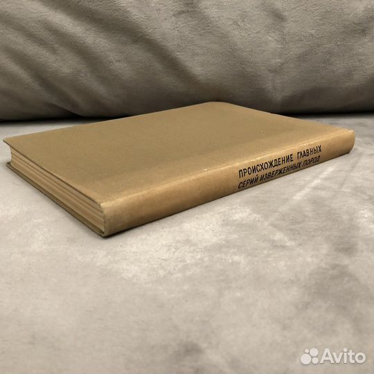 Происхождение изверженных пород