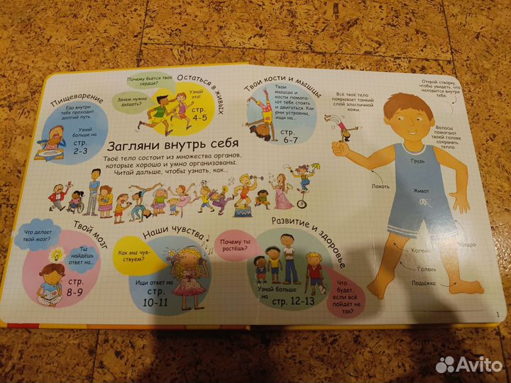 Секреты человека. Серия волшебные створки