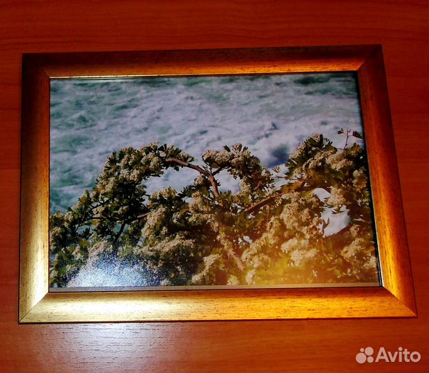 Рамки с фотографиями и без