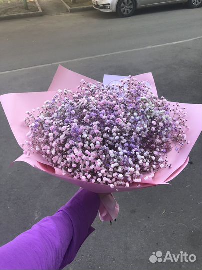 Букет из гипсофилы цветы гипсофилы 1 сентября