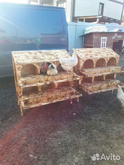 Гнезда для кур