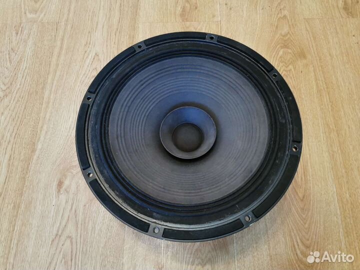 Динамик Ноэма 100гдш33-16