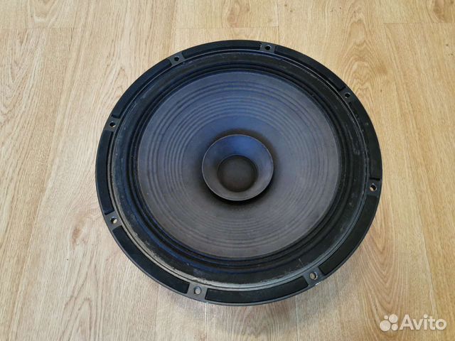 Динамик Ноэма 100гдш33-16