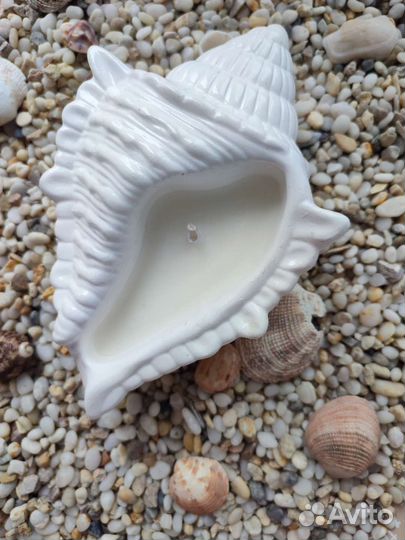 Свеча в ракушке. Свечи в морской тематике