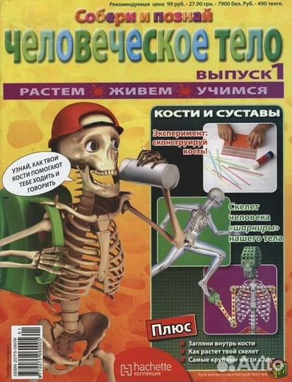 Скелет Артемка