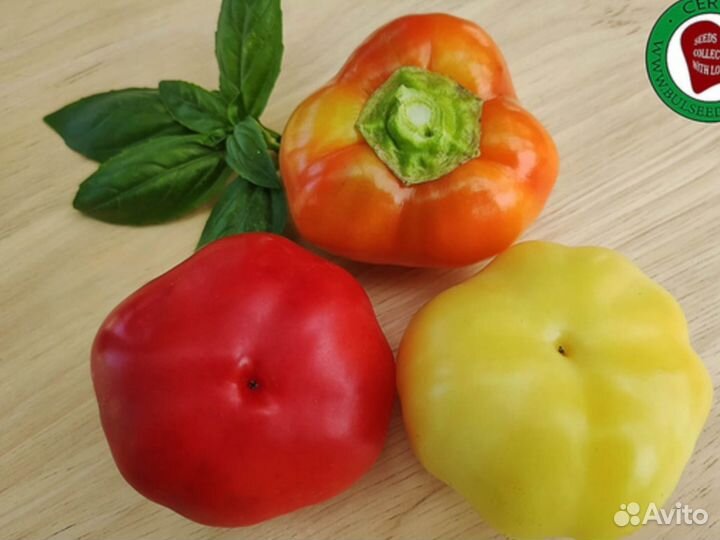 Семена перца Острые Камбички(Болгария) -10сем